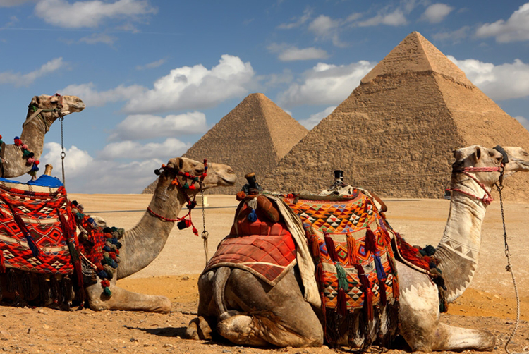 Camel Riding Or Horse Riding at Giza Pyramids 